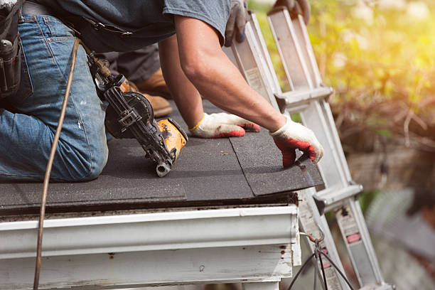 Best Roof Gutter Cleaning  in Judsonia, AR